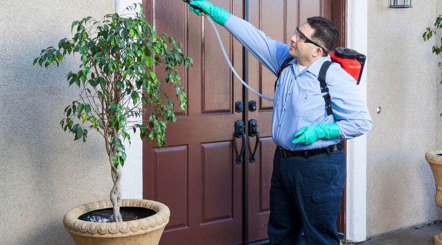 Why choose Guardian Pest Solutions for termite control palm fayetteville nc in Fayetteville